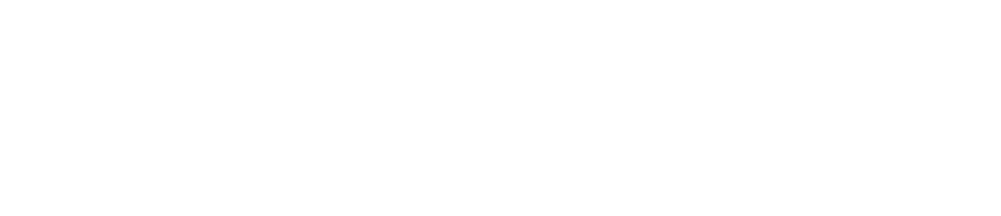 Digital shield background